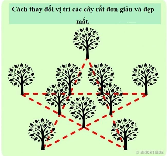 Những câu đố hóc búa khiến bạn thấy nhiều khi thông minh thôi là chưa đủ - Ảnh 15.