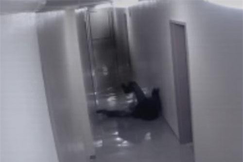 CLIP: Phát hoảng khi bất ngờ bị ma tấn công, kéo lê trên sàn nhà