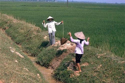 Hình ảnh khó quên về nông thôn Hà Nội năm 1991