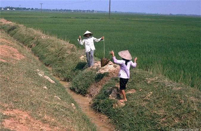 Hinh anh kho quen ve nong thon Ha Noi nam 1991-Hinh-10