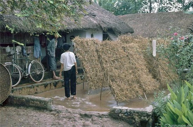 Hinh anh kho quen ve nong thon Ha Noi nam 1991-Hinh-9