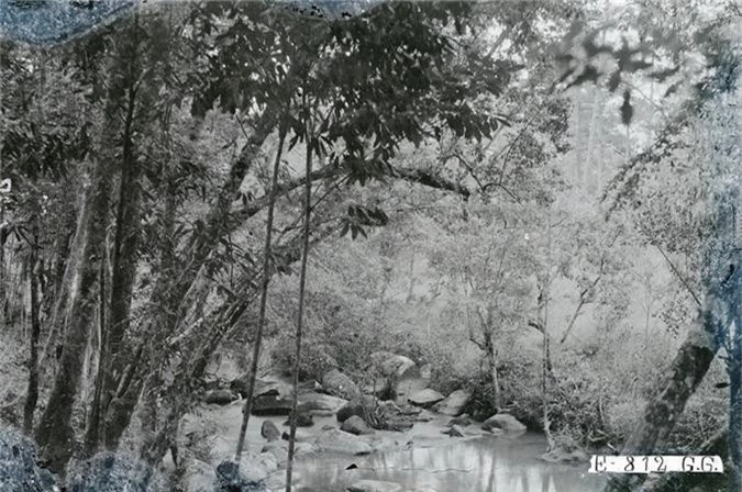 Lang ngam khung canh hoang so cua Da Lat thap nien 1920-Hinh-7