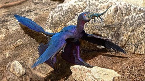 Thằn lằn nằm nguyên vẹn bên trong dạ dày khủng long bay 125 triệu năm tuổi