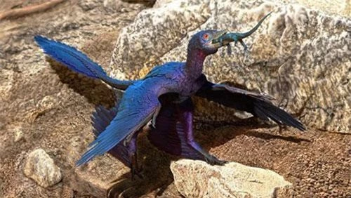 Khủng long bay nuốt chửng cá thể thằn lằnIndrasaurus wangi.
