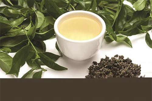 Bí mật loại trà núi Himalaya "siêu đắt" chỉ hái vào đêm trăng tròn