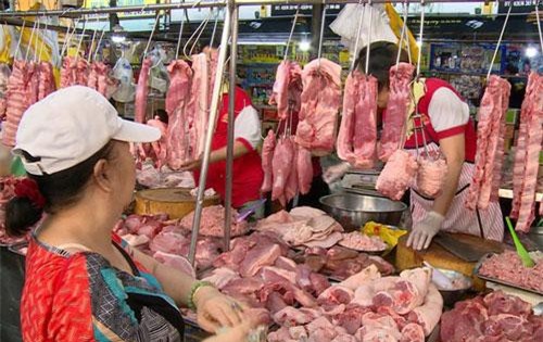 Sức mua tăng trở lại, giá lợn cũng tăng mạnh