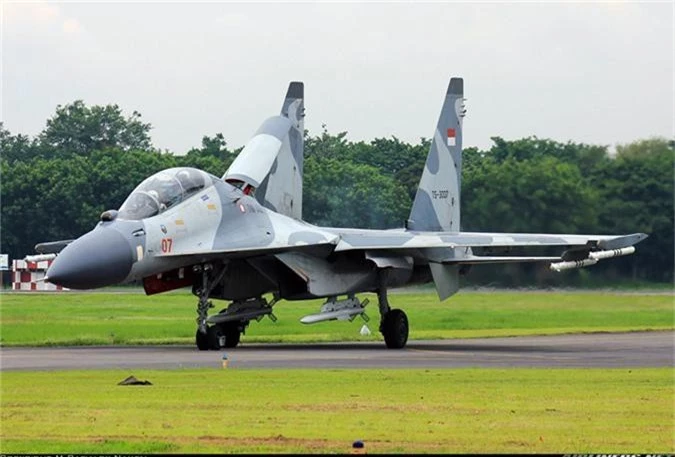 Indonesia co tu bao duong may bay Su-30MK2 nhu Viet Nam?-Hinh-7