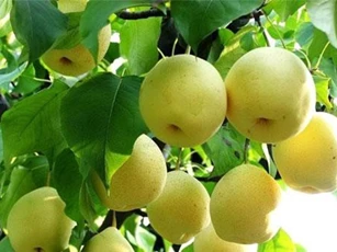 Câu đố siêu dễ, nhưng nó đã đánh lừa được 99% số người trả lời