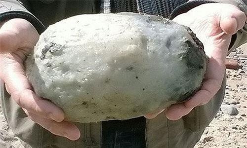 Vì sao long diên hương đắt hơn vàng?