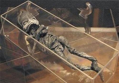 Hé lộ thân phận thực sự về sinh vật lạ nghi là “em bé ngoài hành tinh” mang lời nguyền chết chóc từng gây rúng động cách đây 23 năm