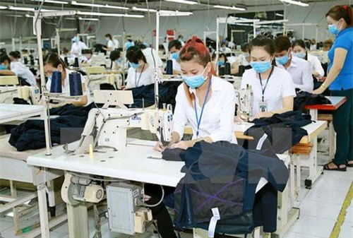 EVFTA và IPA đòi hỏi Việt Nam phải điều chỉnh thể chế kinh tế