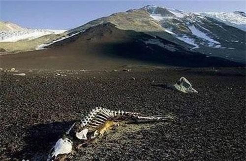 Bí ẩn thung lũng xác chết, đi vào là chết khô đau đớn