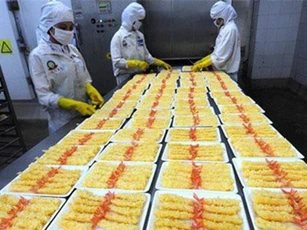 Xuất khẩu tôm bao bột sang Mỹ tăng mạnh
