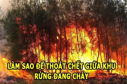 Ảnh minh họa. Ảnh minh họa.