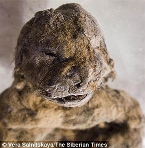 Chấn động với phát hiện xác ướp 2 sư tử hang hơn 12.000 năm tuổi