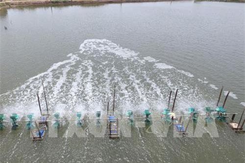 Trà Vinh thay đổi hình thức nuôi trồng thủy sản theo hướng siêu thâm canh