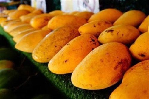 Chỉ vì tiếc mấy quả xoài bị thâm đen mà người đàn ông này cố ăn để rồi bị đau bụng, nguy hiểm tính mạng