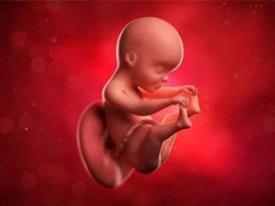 Thai nhi bị ảnh hưởng thế nào khi mẹ thức quá khuya?