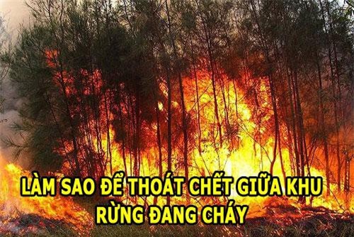 CLIP: Những câu đố thử tài suy đoán, nếu giải được bạn đúng là thiên tài