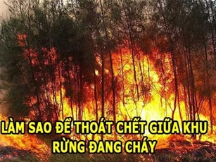 CLIP: Những câu đố thử tài suy đoán, nếu giải được bạn đúng là thiên tài