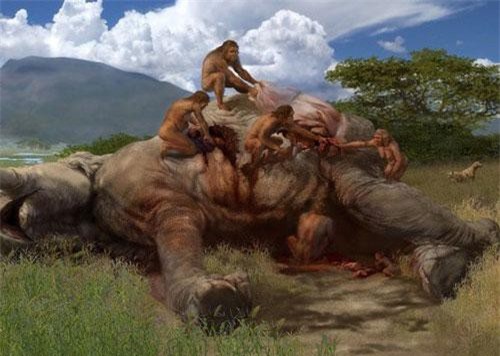 Tại sao bây giờ loài người chúng ta lại ăn thịt?