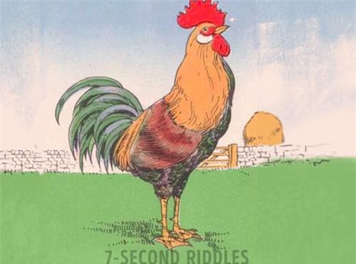 "Thử thách" độ tinh mắt của bạn với câu đố đơn giản