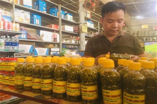 Hòa Bình: Thanh niên xứ Mường vừa trồng vừa dấm 10.000 chai ớt bán hết veo