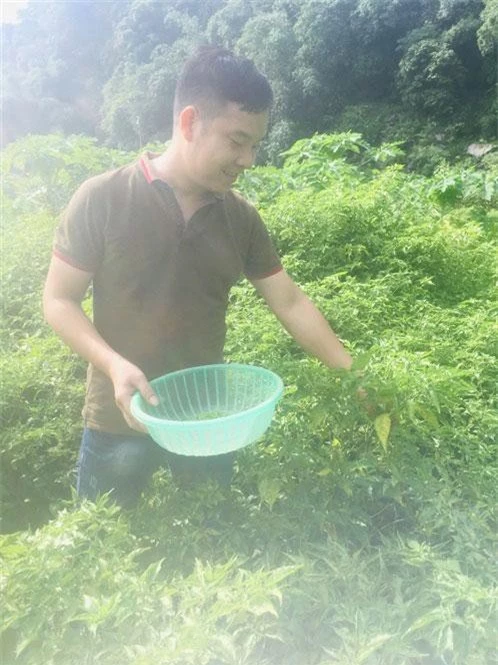Ớt núi Phú Lương là một loại cây dễ trồng, cách chăm sóc cũng đơn giản.