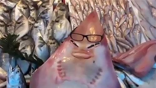 "Cá mập mặt người" hiếm gặp sa lưới ngư dân