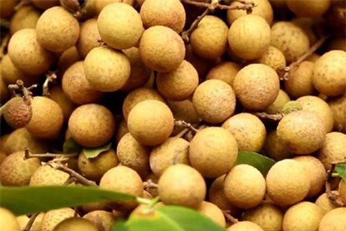 Khai mạc Tuần lễ Nhãn và Nông sản an toàn tỉnh Sơn La năm 2019