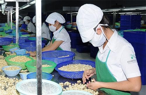 Để nông sản thâm nhập vào EU: Biết mình, biết người