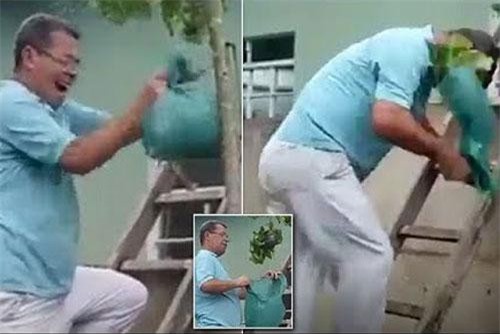 CLIP: ‘Cười vỡ bụng’ trước màn bắt ong ‘siêu ngốc’ của người đàn ông này