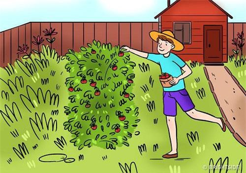 Thử tài "tinh mắt" của bạn với câu đố tìm lỗi sai trong 15 giây