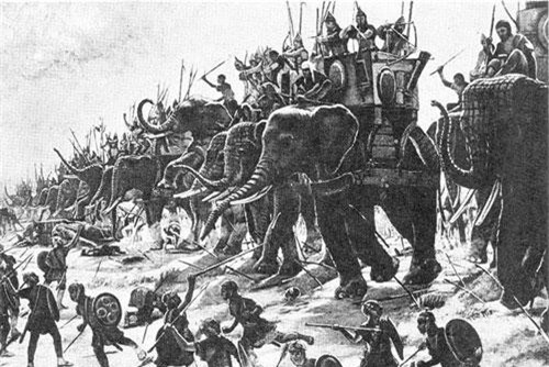 Hé mở sự thật ít biết về voi chiến trong lịch sử