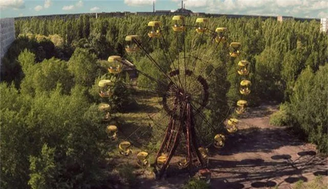 Vì sao thực vật vẫn phát triển tốt ở khu vực thảm hoạ Chernobyl? - 1