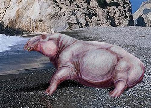 Tìm thấy hóa thạch hà mã cổ đại được mệnh danh "máy hút bụi"