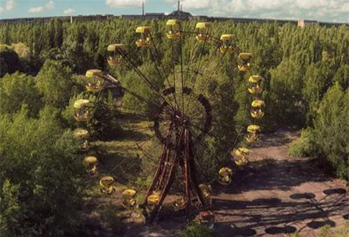 Vì sao thực vật vẫn phát triển tốt ở khu vực thảm hoạ Chernobyl?