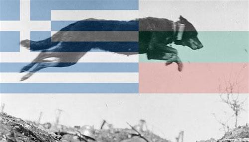 Khó tin cuộc chiến đẫm máu vì con chó đi lạc năm 1925