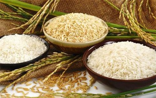 Xuất khẩu gạo sang Trung Quốc giảm hơn 70%