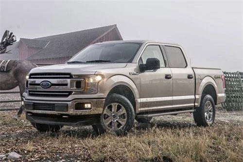 7. Ford F-150 XL (giá khởi điểm: 29.750 USD).