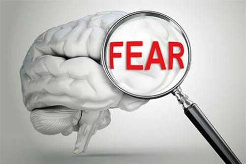 19 khám phá mới về nỗi sợ: Những cơ chế thú vị