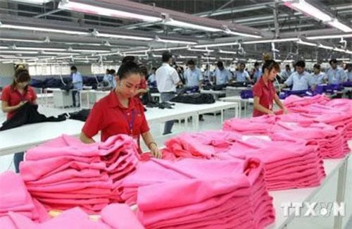 Để ổn định tại thị trường Nhật Bản, doanh nghiệp dệt may Việt Nam phải tạo dựng được thương hiệu của riêng mình. Ảnh minh hoạ TTXVN