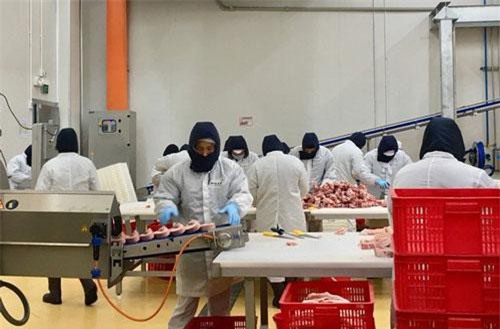 Thịt mát nội địa phát triển mạnh trước bão thịt nhập