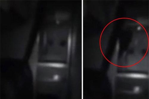 CLIP: Hãi hùng phát hiện ra ‘quỷ lông đen’ trên máy bay