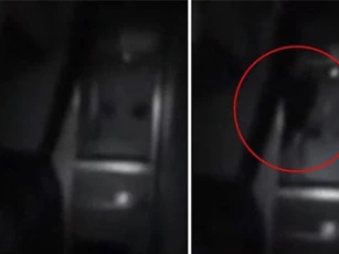 CLIP: Hãi hùng phát hiện ra ‘quỷ lông đen’ trên máy bay