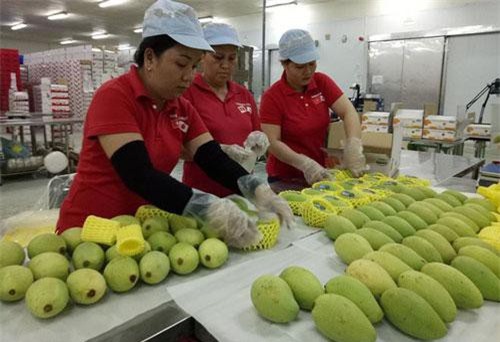 Việt Nam xuất siêu sang 5 thị trường trong khối CPTPP