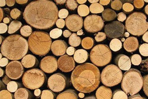 Xuất khẩu gỗ và sản phẩm gỗ mang về hơn 4 tỷ USD trong nửa đầu năm 2019