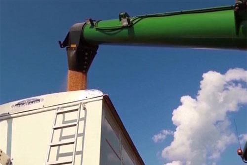 Doanh nghiệp Trung Quốc tìm cách mua nông sản Mỹ