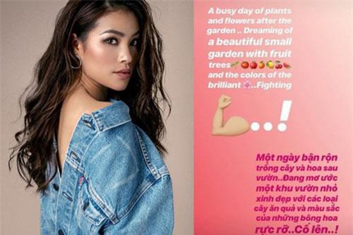 Loạt ồn ào của Phạm Hương từ khi bước chân vào làng giải trí