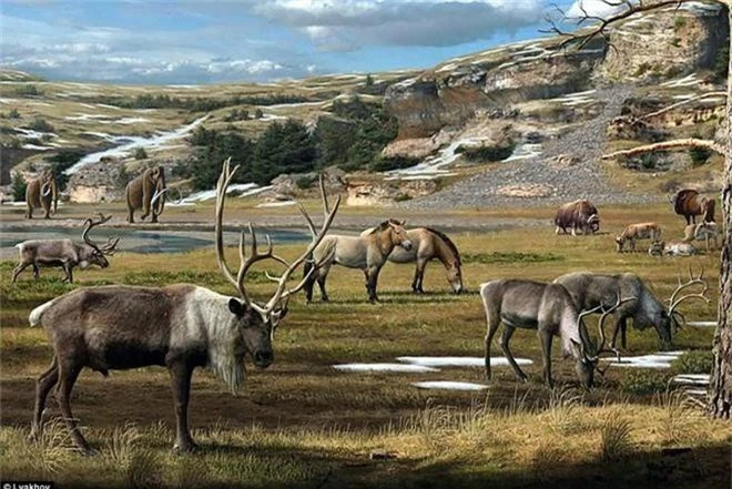 Phát hiện hóa thạch ngựa còn nguyên vẹn sau 40.000 năm tại hố tử thần ở Siberia - Ảnh 4.
